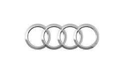 ProClips für Audi